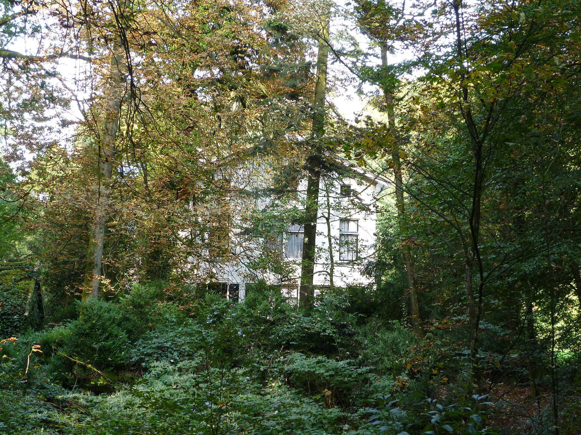 Landhuis tussen de bomen op Landgoed Schovenhorst bij Putten